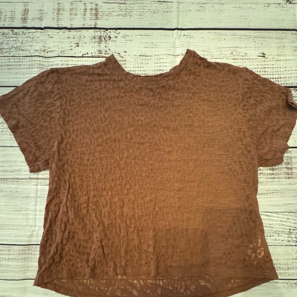 Express Crop Top in Brown